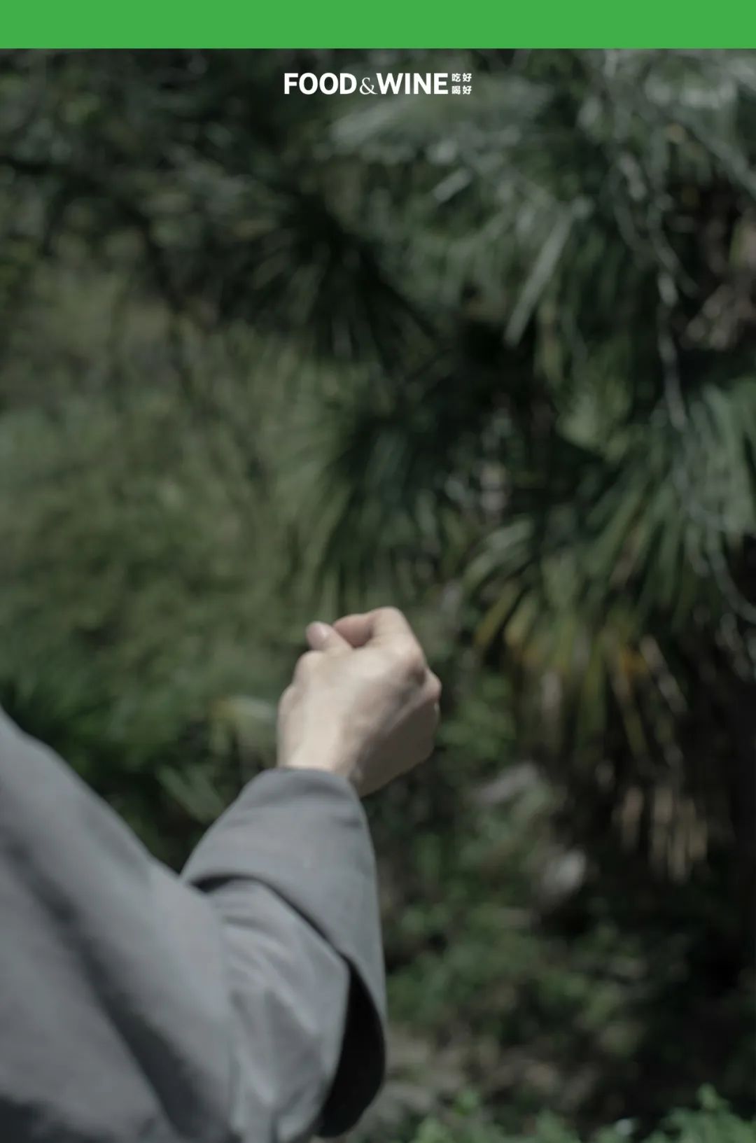 鏅痉闀囧搴欏悆鏂嬮キ,涓囧绂呭鏂嬮キ