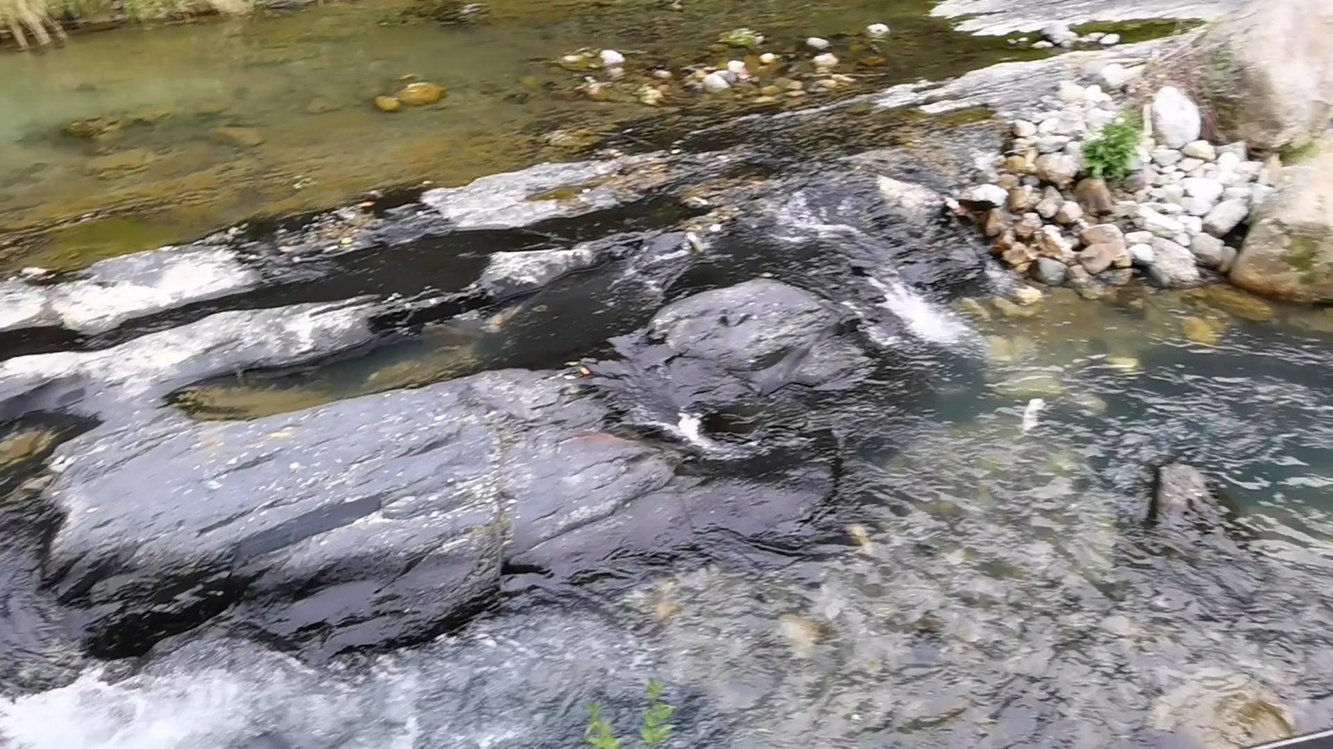 神农架木鱼镇自驾游三天攻略,神农架林区木鱼镇旅游图