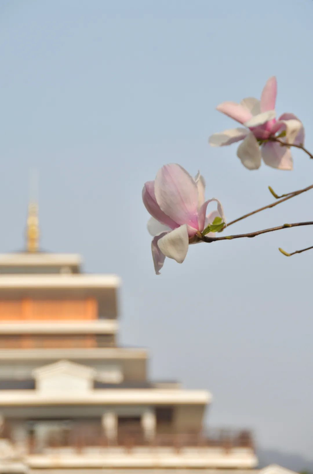 当诗遇到禅！17首诗词带您看遍与山水相依的四季