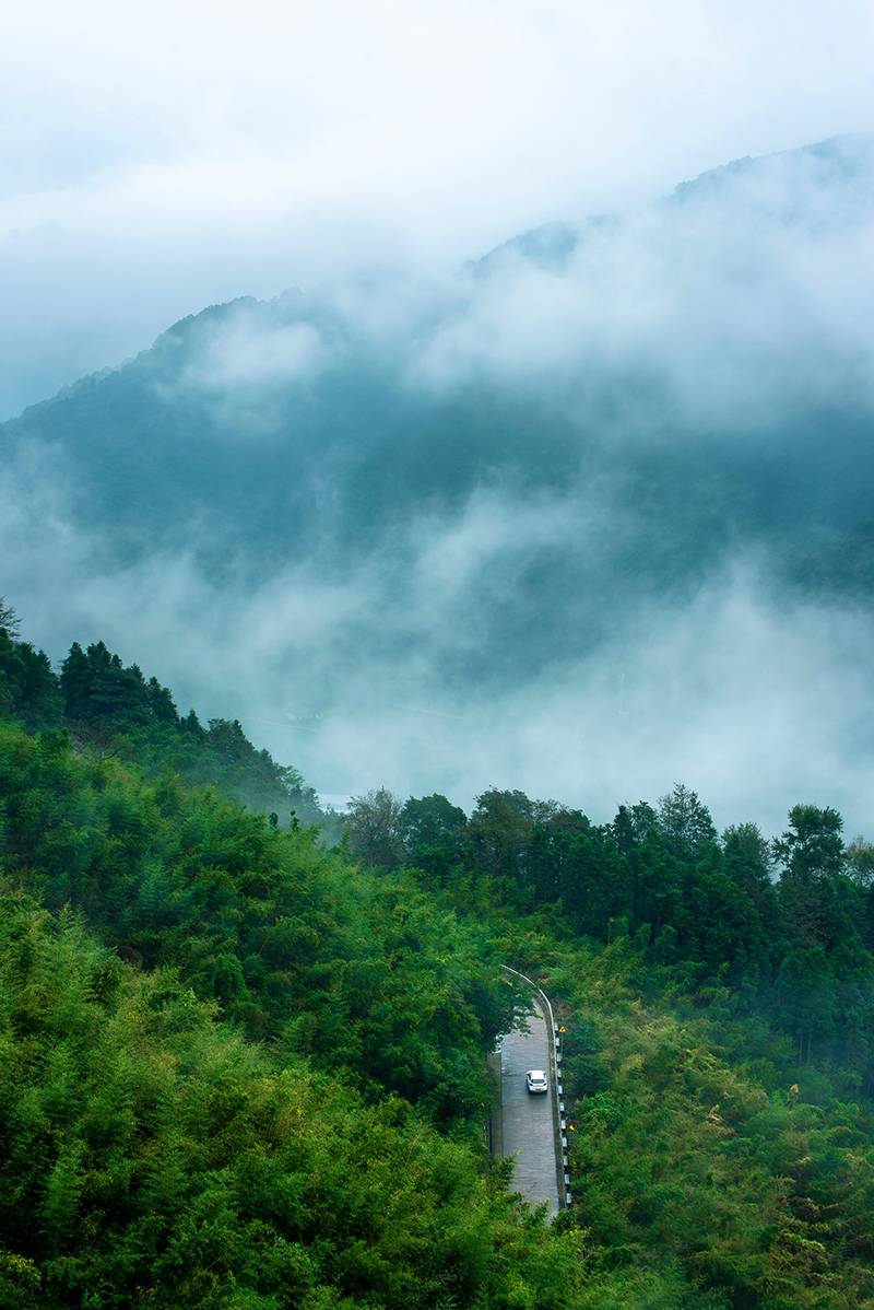 情人节长长的告白,情人节简短告白话