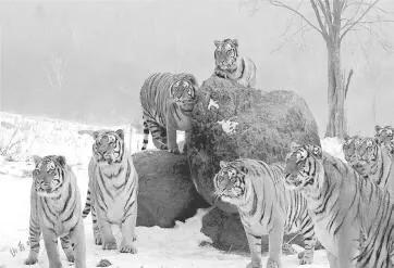 山西最值得去的景点,山西最值得去的旅游景点推荐