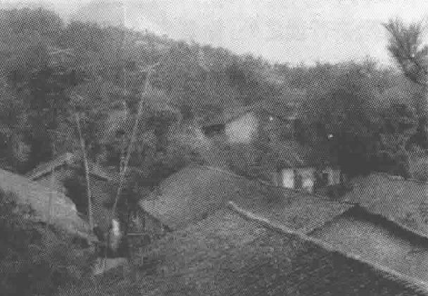 入党调查写自己的生父还是继父,一名大学生入党申请书1000字