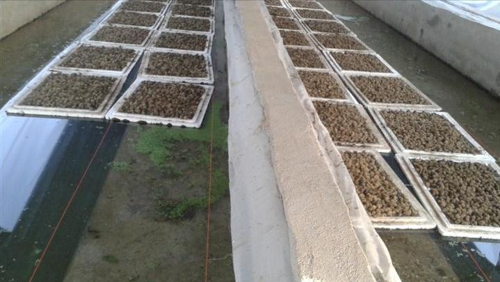 水蛭立体养殖箱制作材料,牡丹江水蛭立体养殖