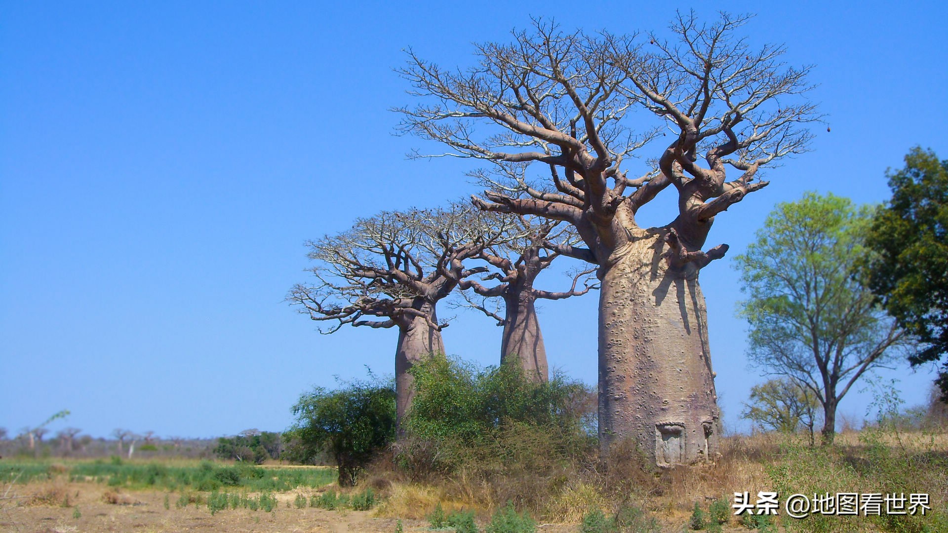 各国趣谈,2022世界杯趣谈