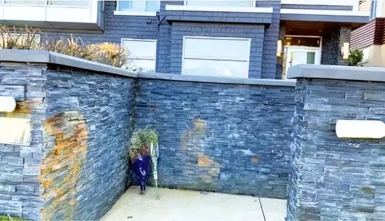 女足在加拿大被枪杀,女足运动员在加拿大被枪杀