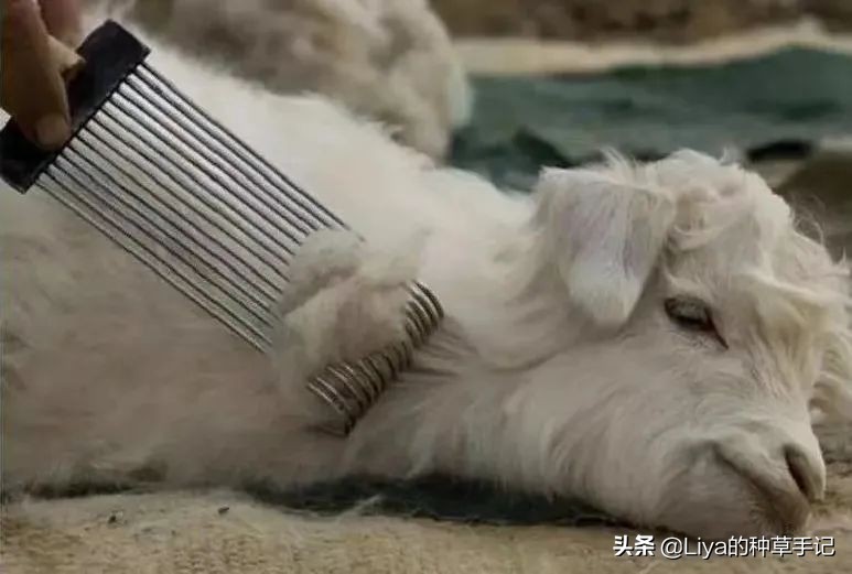 换季穿什么舒适又时髦,冬春换季穿衣搭配