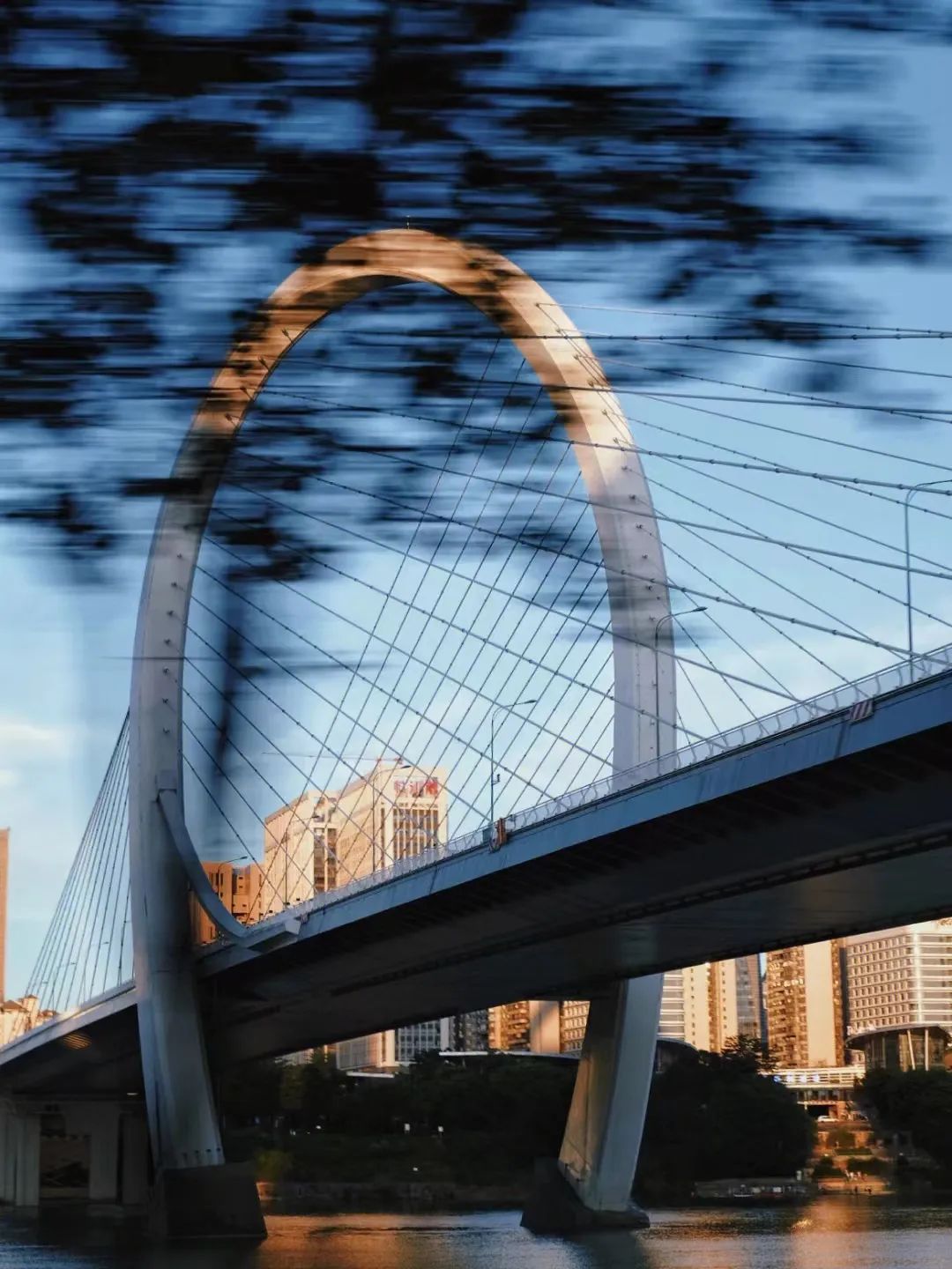 回到早睡早起的日子,回老家朝九晚五