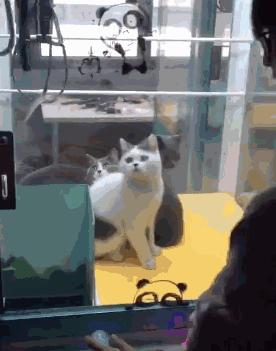 女孩子看起来外表美丽，其实裤袜已经掉到大腿根了！哈哈哈