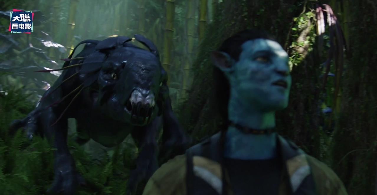 阿凡达解密,阿凡达2详细攻略大全