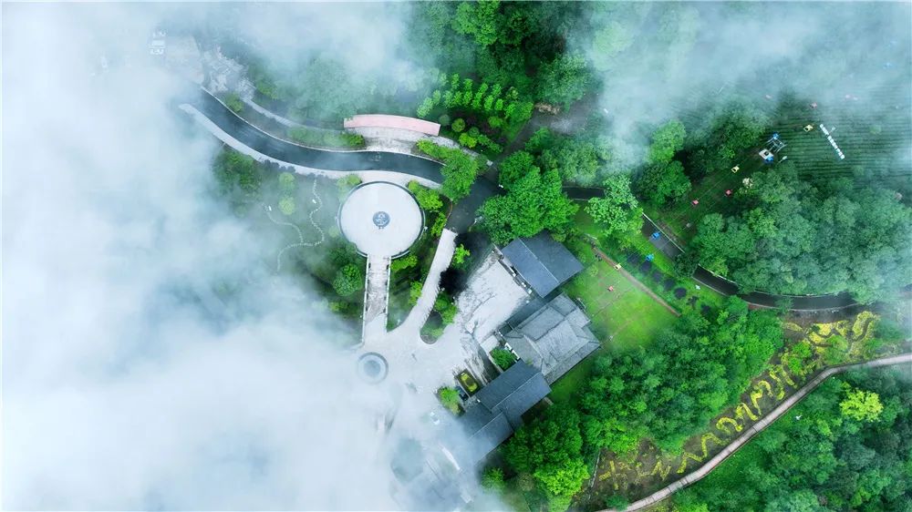 非遗奇遇记端午赛龙舟,端午节赛龙舟比较有特色文艺活动