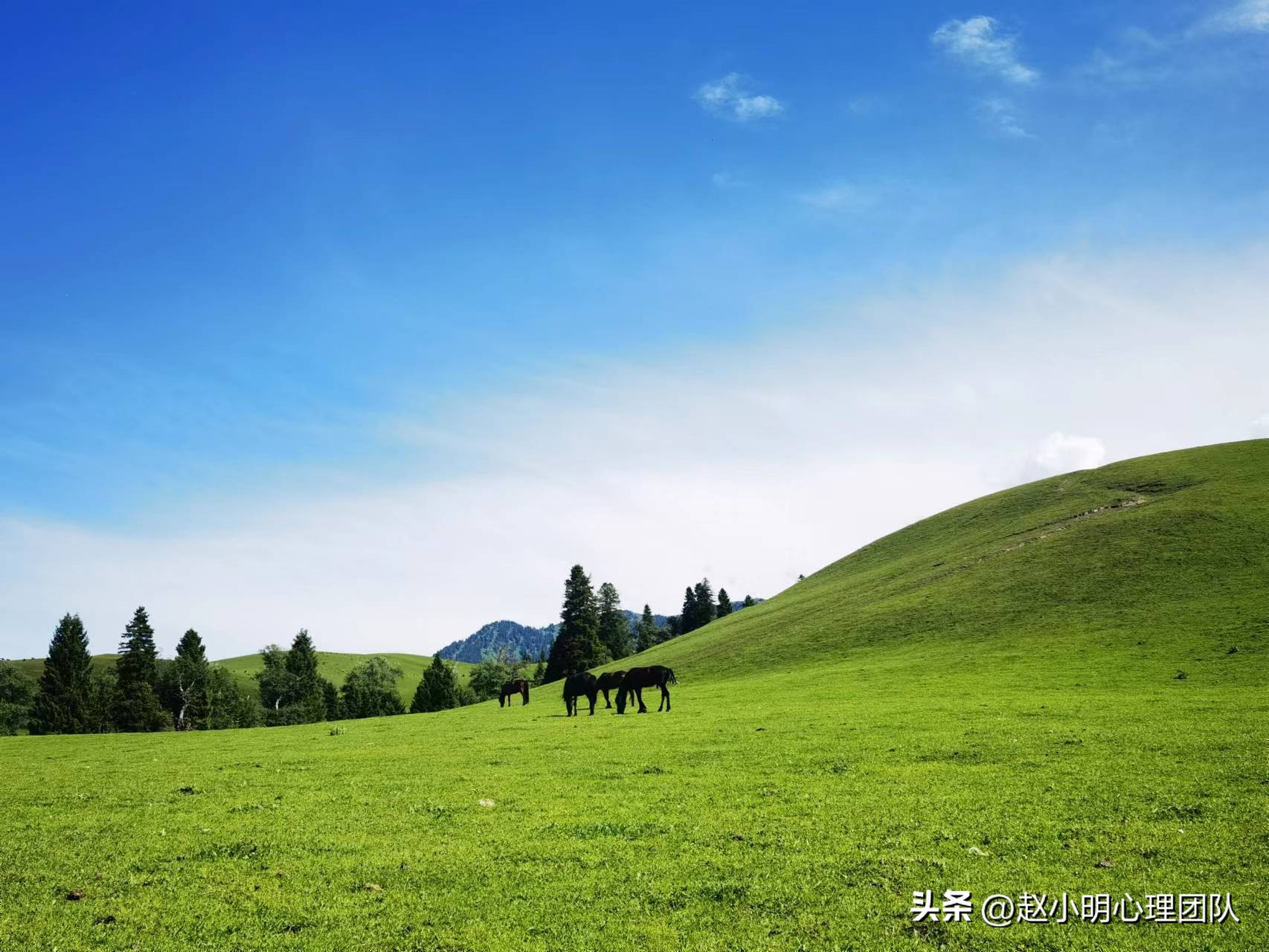 赵小明心理学培训,赵小明有效思维