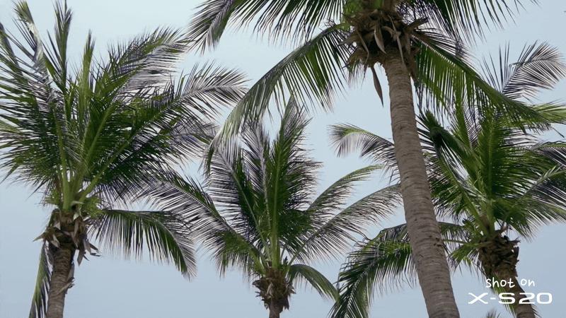 富士x-s20高感测评,富士x-s20几画幅