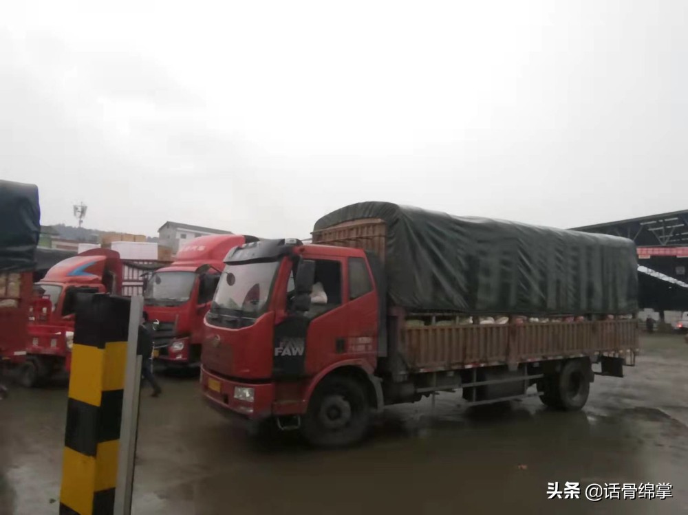 @绵阳市民,过春节不用愁,菜篮子、果盘子满满的