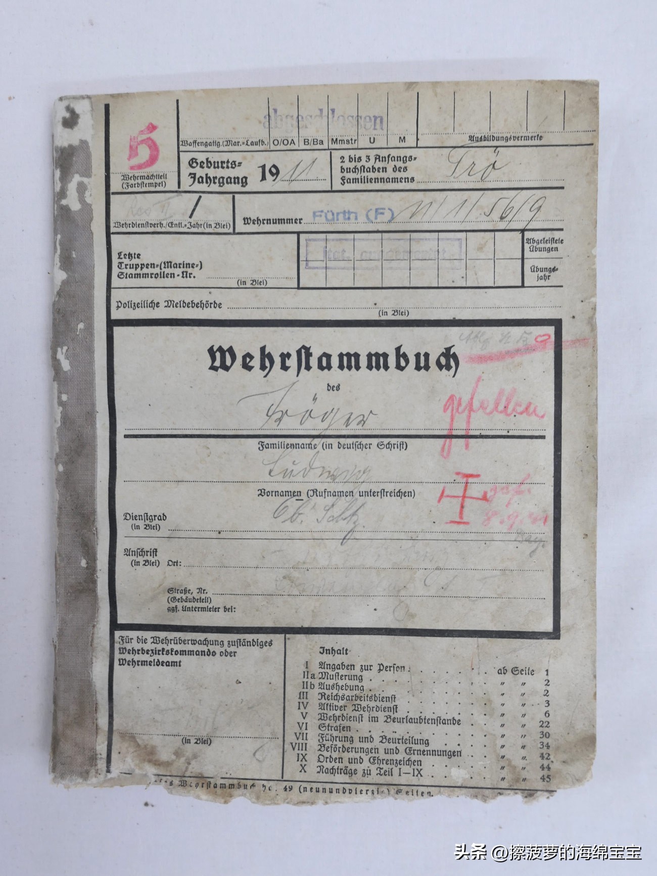 二战时德国军人的肩章,二战德国兵种领章