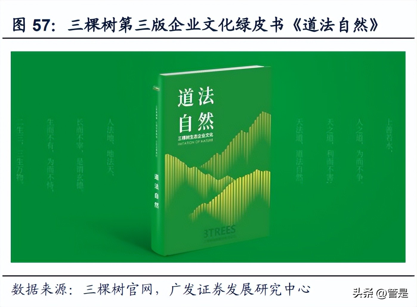 三棵树发展理念,三棵树战略规划