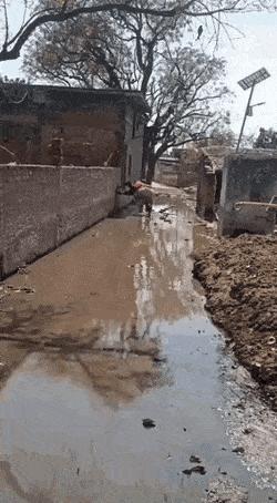 大哥怕是不行了,背是上午踩的,人是下午走的,席是中午吃的