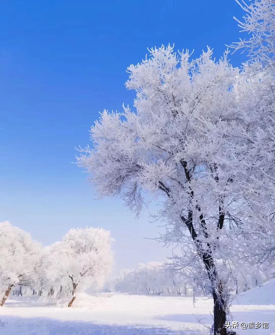 读乡馆原创作品(1~9)