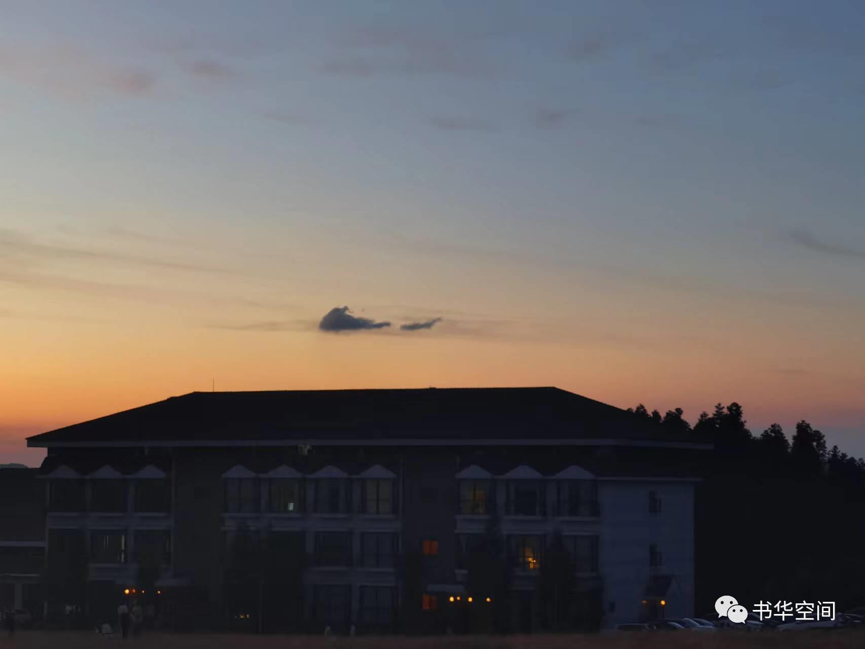 让心不再孤单,让心继续孤独