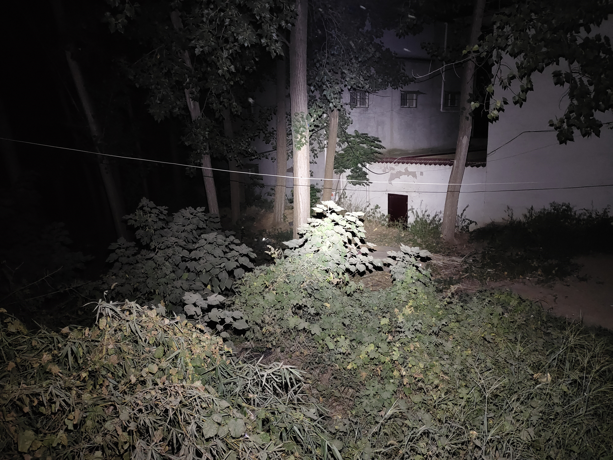 头转之处,皆是光明!CyanskyHS5R多功能可充电式头灯体验