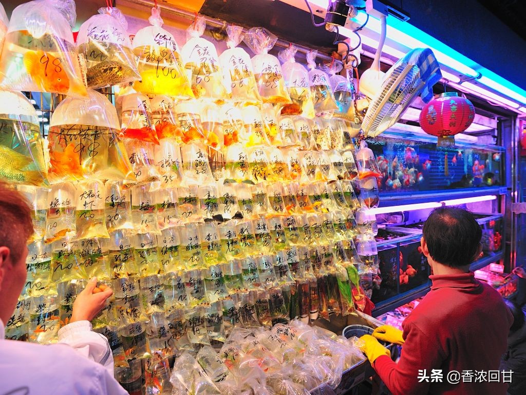 最潮的购物街,闲逛购物街攻略