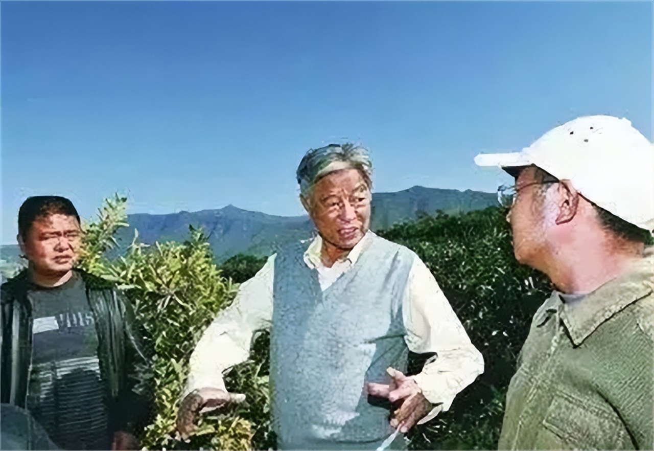 90年代玉溪烟六十元一包,90年代的红塔山烟盒