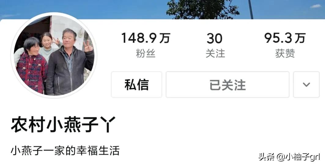 自媒体大咖之间的关系大揭秘桃子姐和幺弟妞妞和农村和小燕子