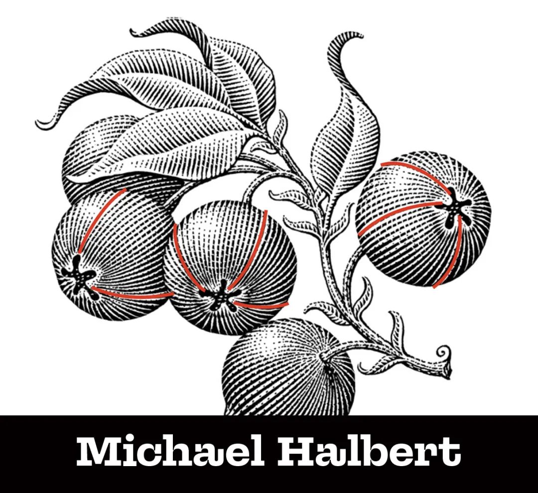 ai绘制插画人物教程,ai版画风格插画教程基础