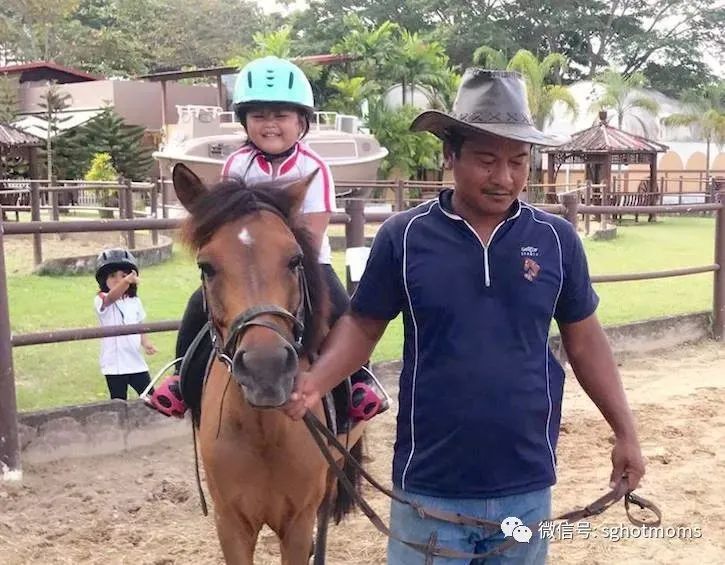 新加坡遛娃免费景点推荐一下,新加坡周末遛娃