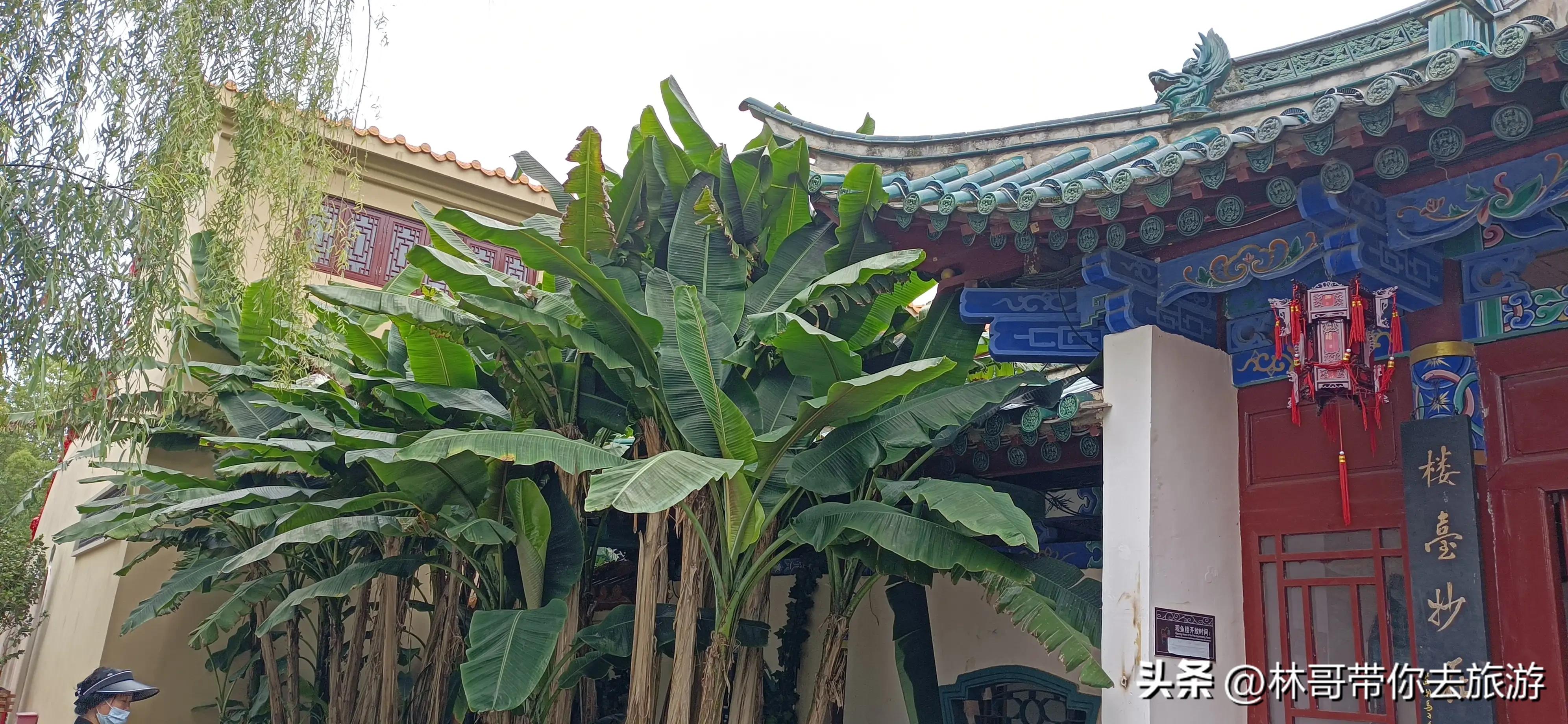 昆明美景排行,美景新城昆明