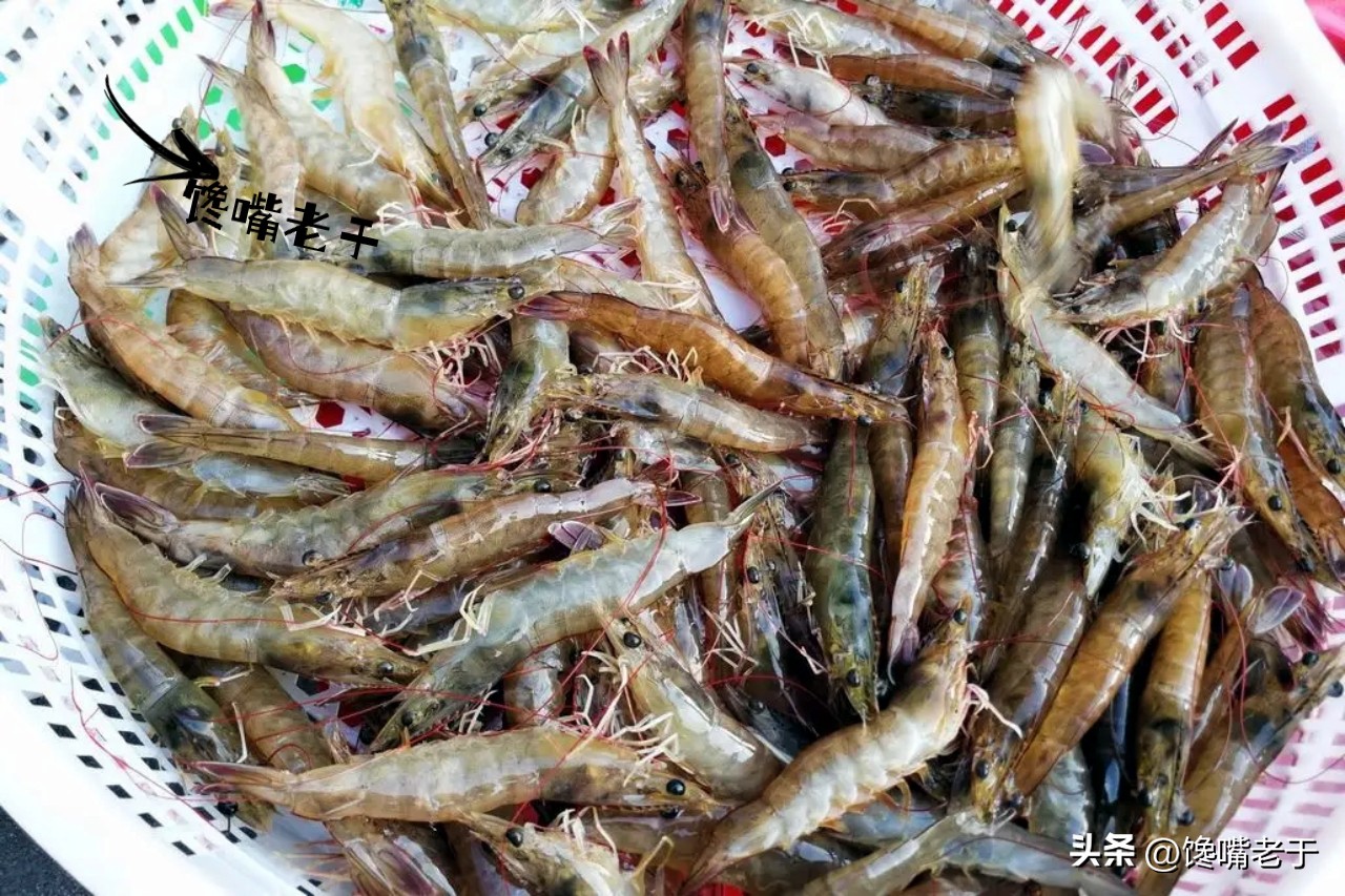 买虾不可以挑大小吗,买虾怎么挑选最好