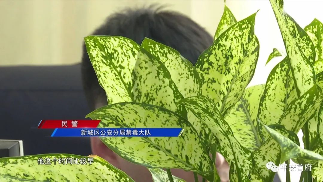 “家族式”制贩*证假**假章伪造的国家机关及企业事业单位印章三百余枚一家人全被抓