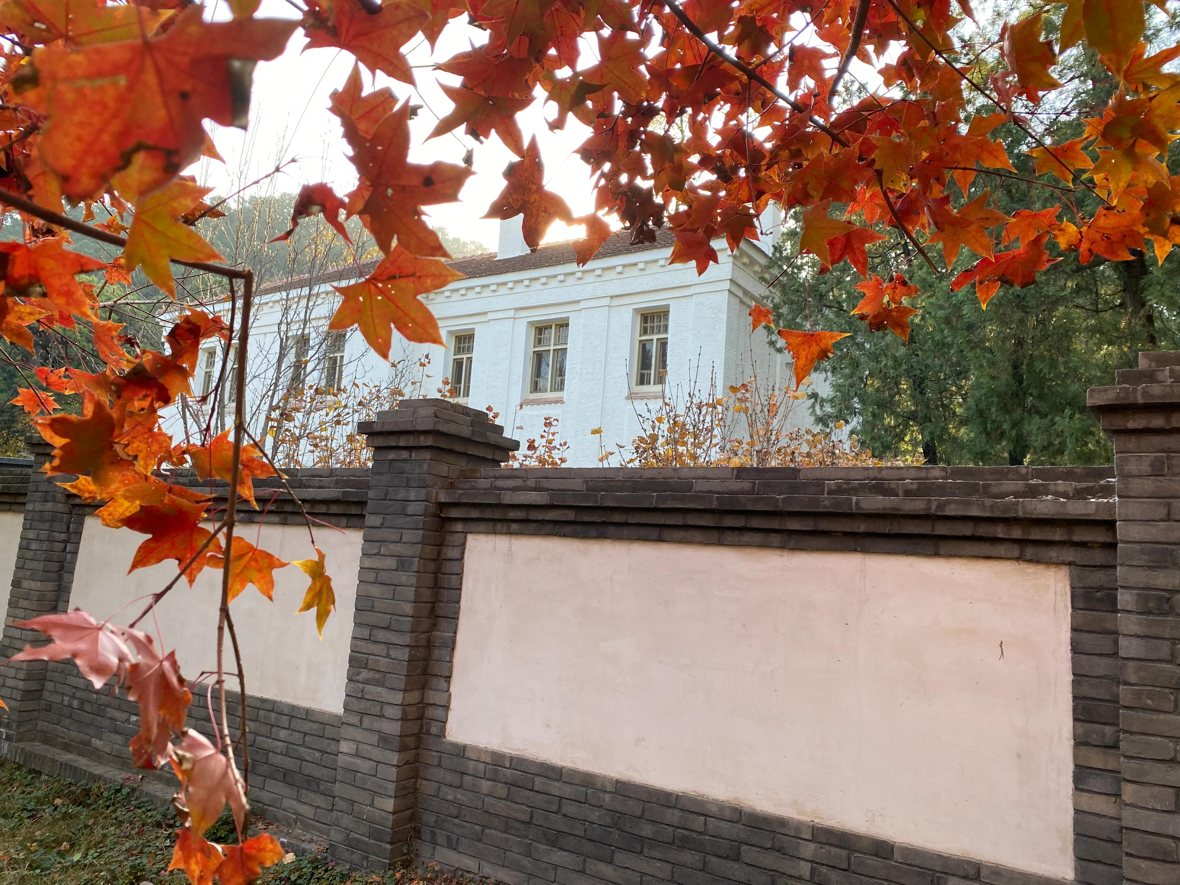 香山风景区打卡攻略,北京香山公园打卡