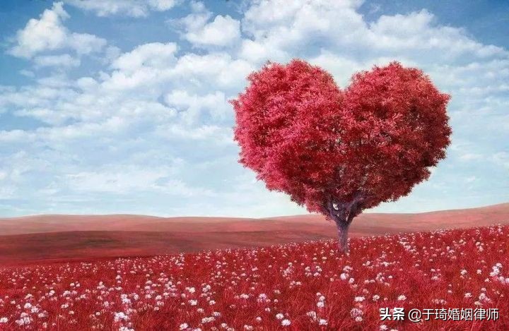 婚姻律师怎么学,婚姻律师手把手教你