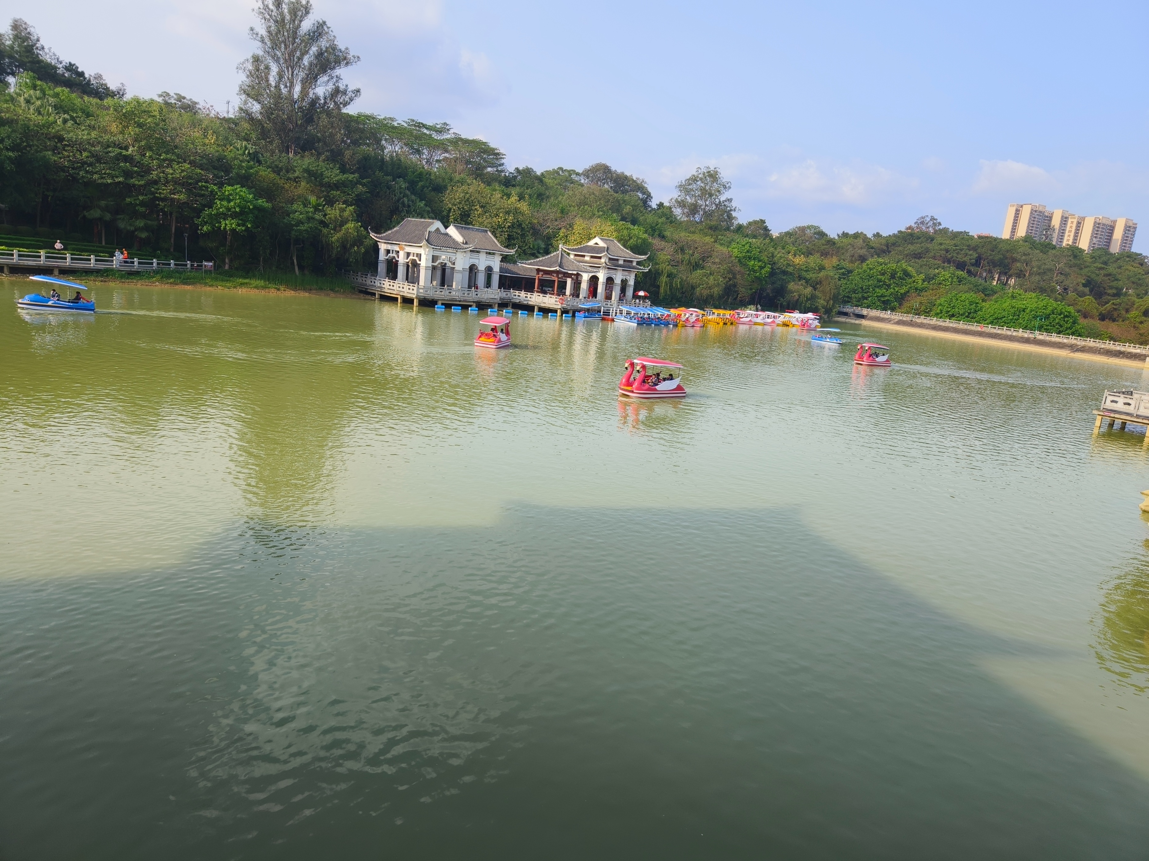 南宁周末溜娃好去处！南宁狮山公园