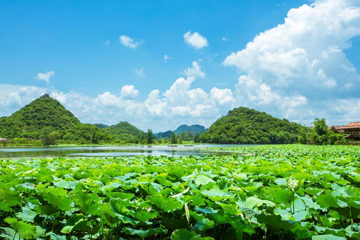 普者黑有哪些风景点,普者黑山水美如画