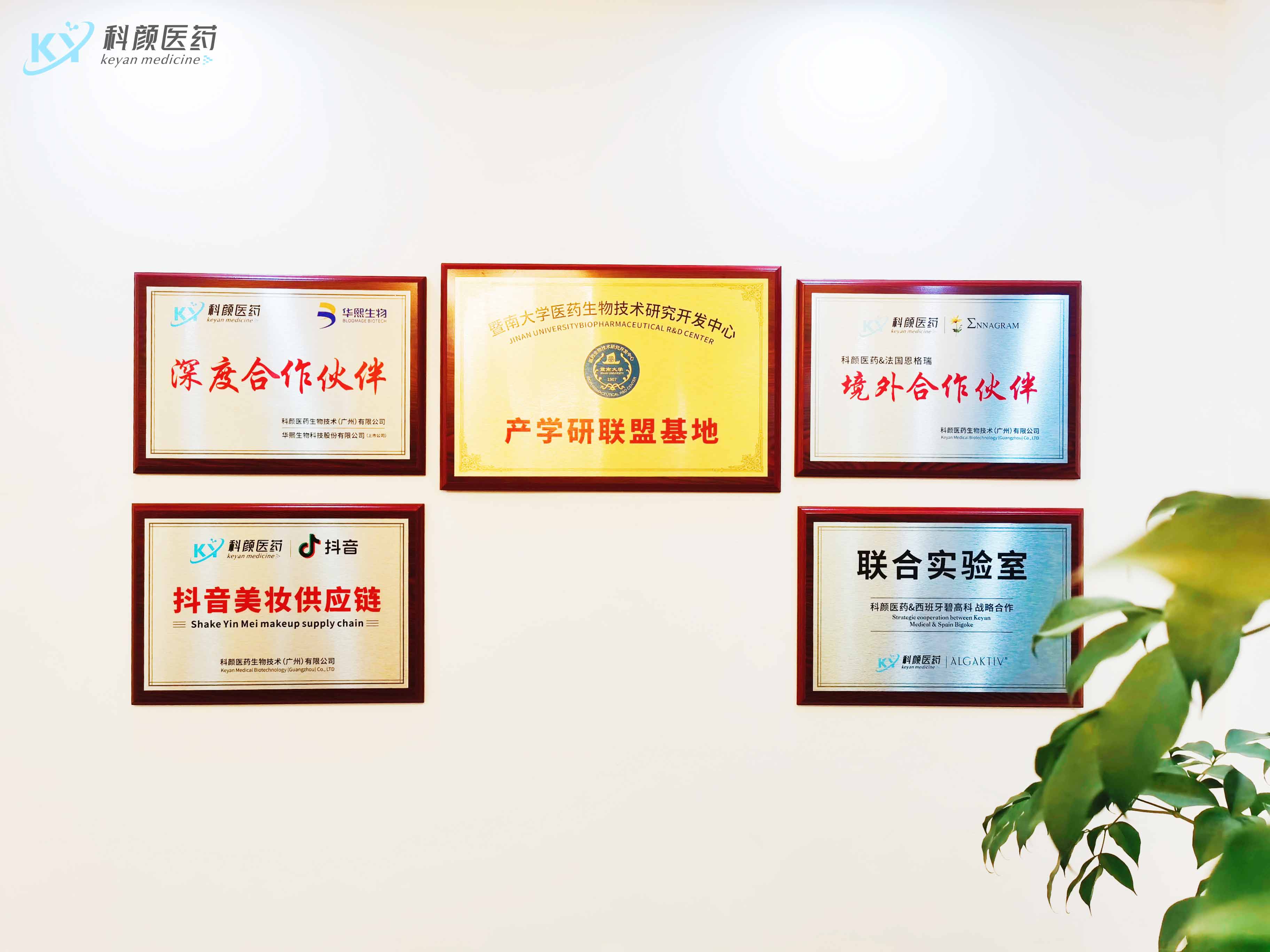 轻医美源头工厂,轻医美源头工厂是骗人的吗