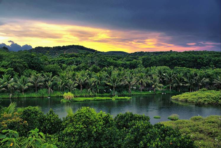 农村五年后什么最值钱的视频,农村几年后最值钱的不是房子