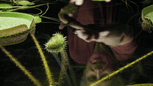 96岁还在奔波工作，这老爷子做出了今年9.8分神片