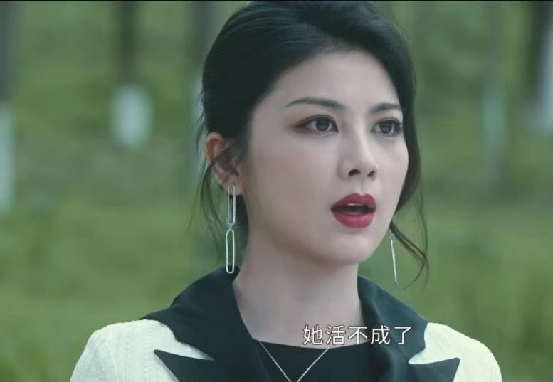 《他是谁》之局中局:赵刚,还是低估了聂宝华的狠,陈宝丽的爱