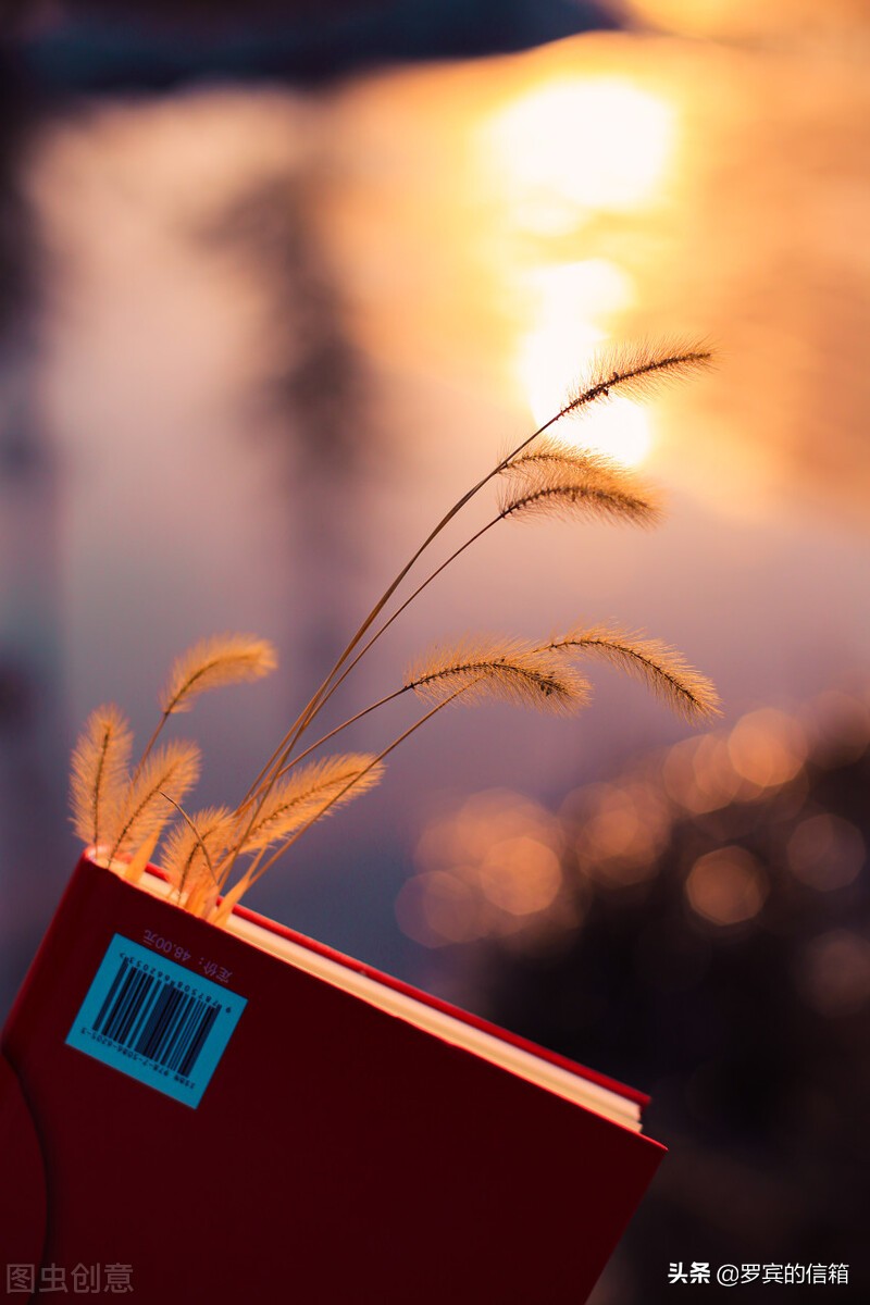 有那么多美好的事物在治愈着我们,美好的东西真的能治愈一切坏情绪