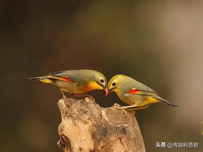 *拍偷**的夫妻生活照，羞羞的