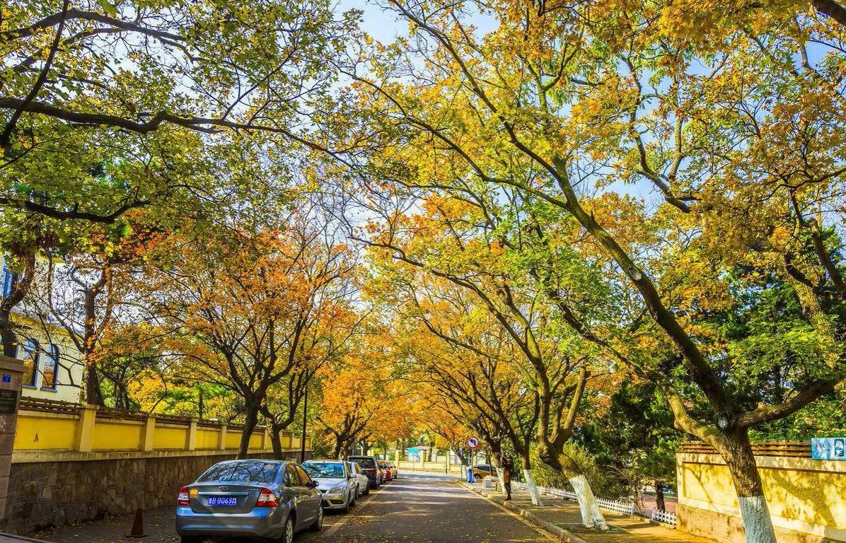 青岛人气景点盘点｜10个推荐景点及周边玩法攻略