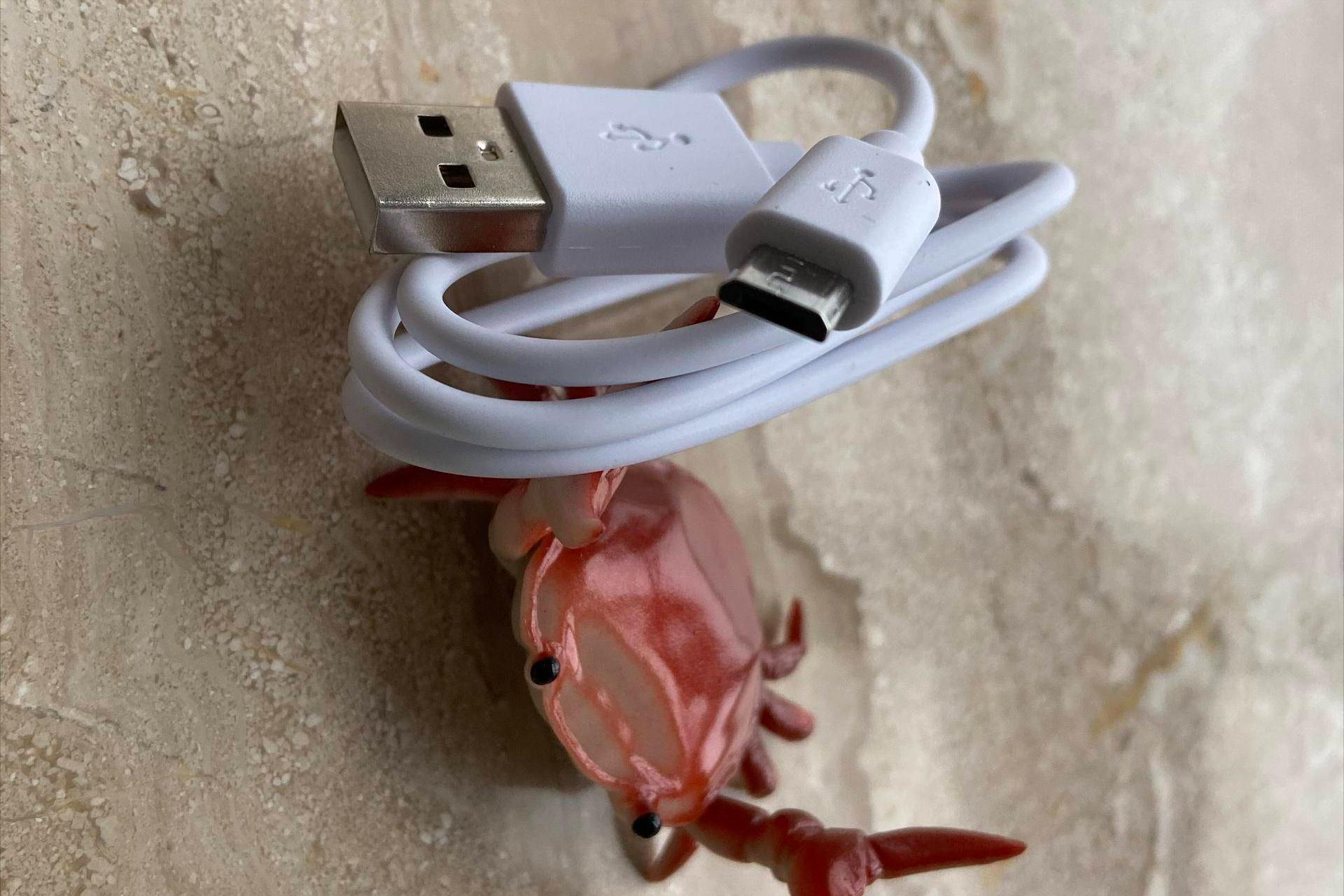 安克创新阳萌：辞去百万年薪毅然回国，靠卖充电宝成百亿巨企