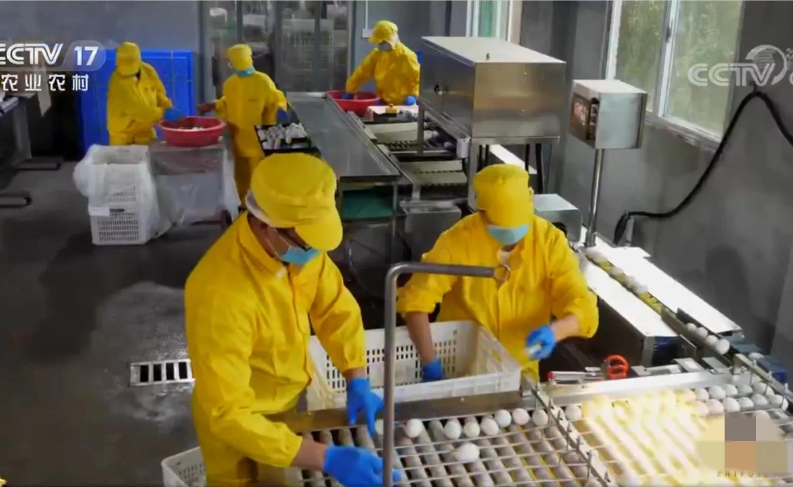 农村小伙承包80亩果园,90后小伙承包15亩果园养活3个孩子