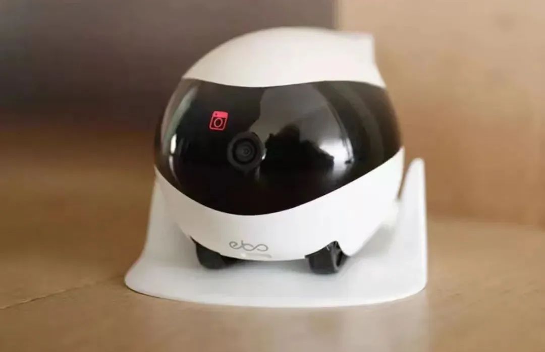 宠物智能用品能否成为新蓝海,新宠物智能产品有哪些