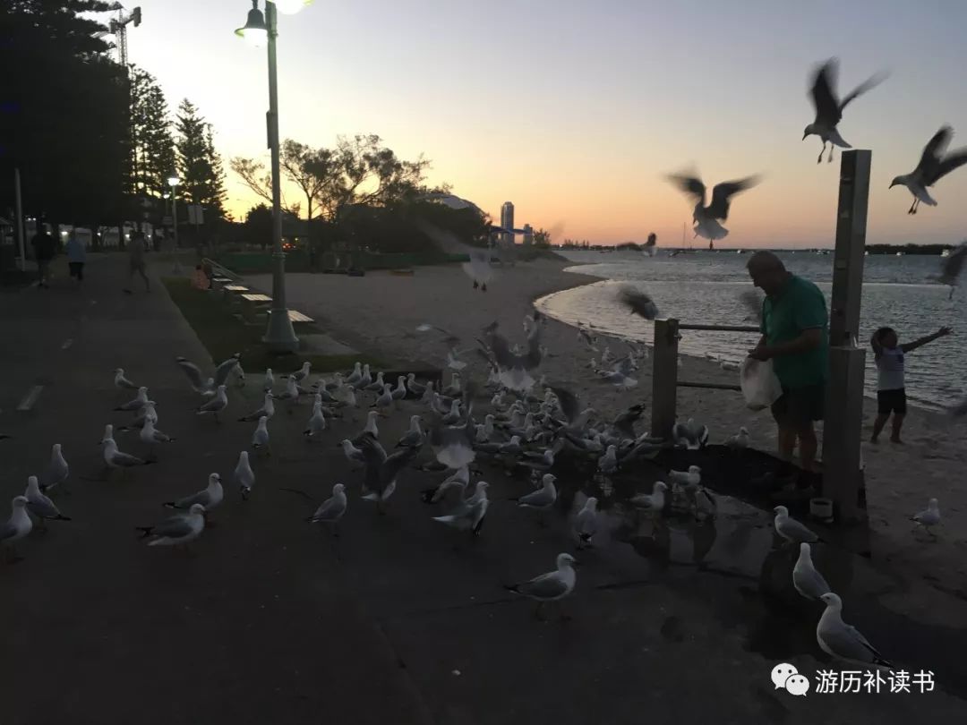 澳大利亚印象(代小结)——澳大利亚行记7