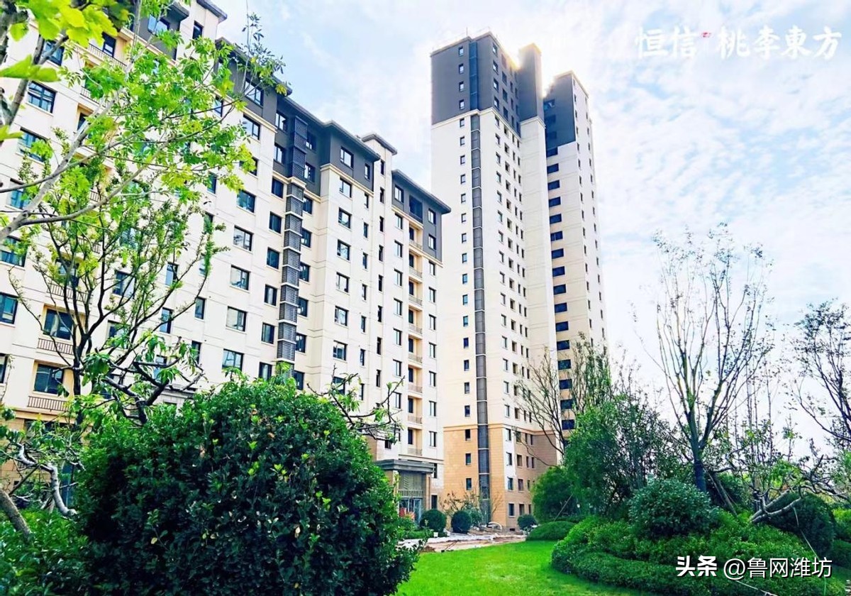 恒信桃李东方临朐,临朐恒信桃李东方最新视频