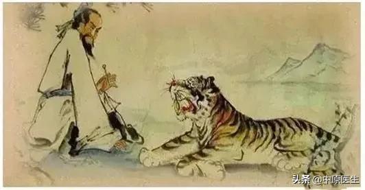 老虎的体质有多强,老虎与人类关系好吗