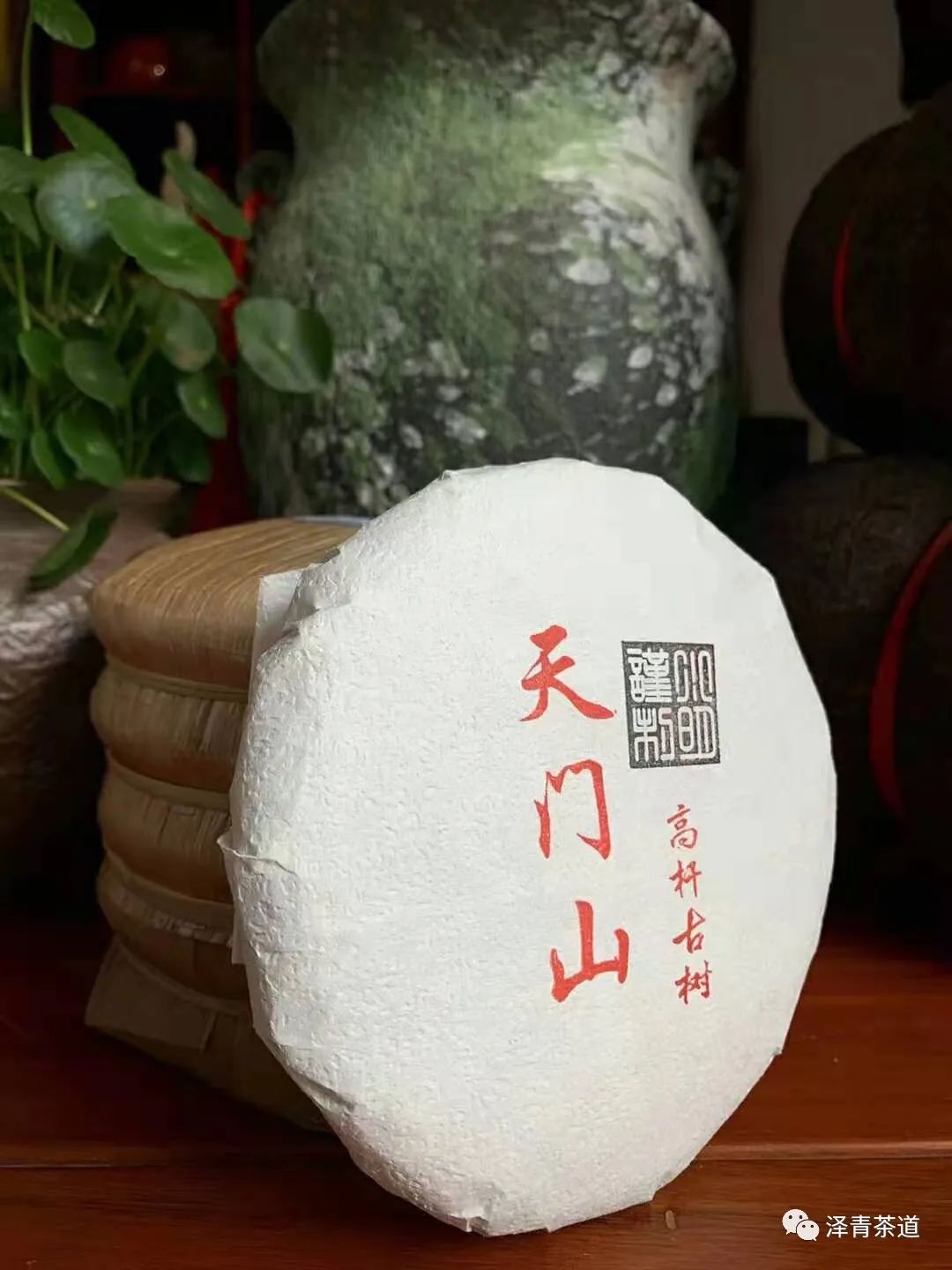 保塘古树茶好喝吗,芒景古树茶好喝吗