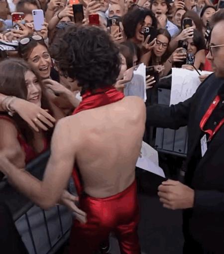 欧美明星红毯最新,威尼斯明星红毯